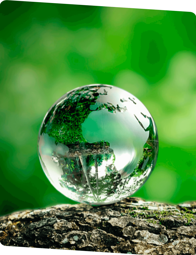 Responsabilidade Ambiental